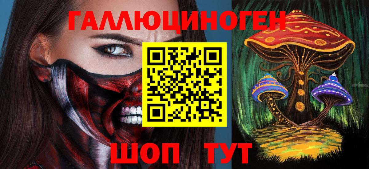 Галлюциногенные грибы Psilocybe  Вход с VPN  Томск 